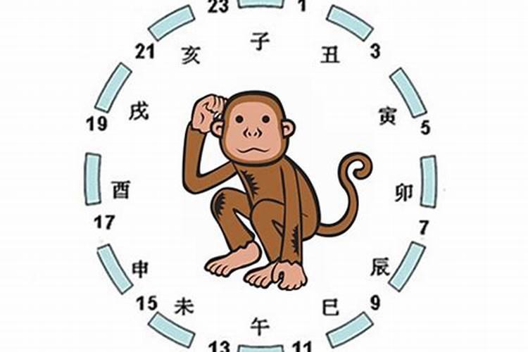 梦见好多大红虾