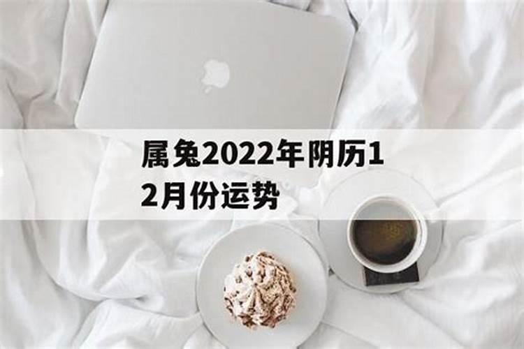1975年属兔2025年每月运势