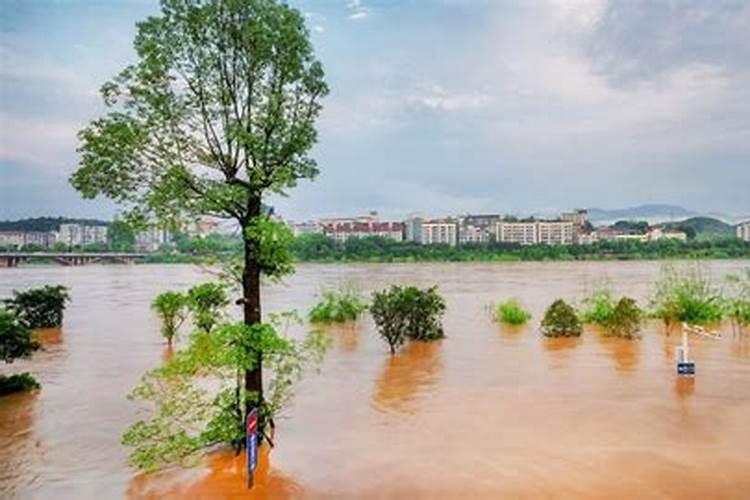 周公解梦梦见发大水是什么意思
