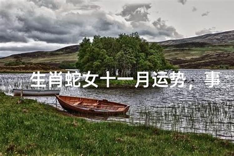 三元九运九宫九星排法