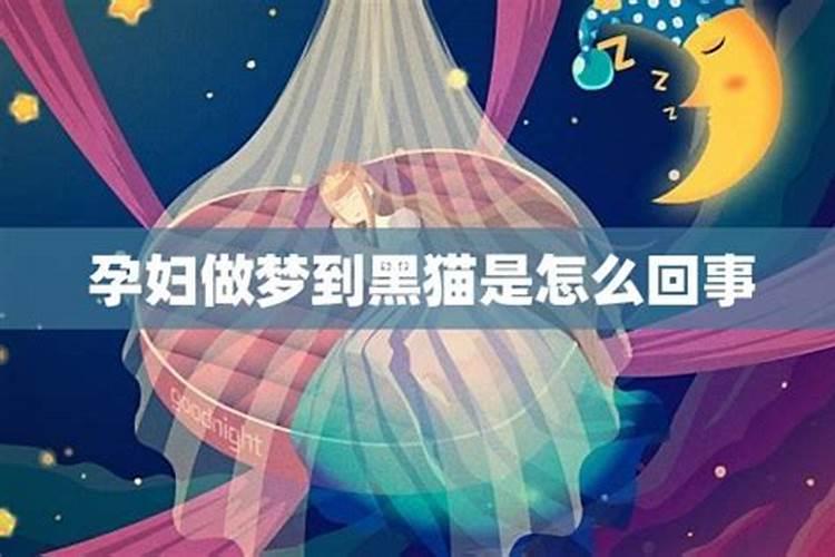 梦到了猫是什么预兆