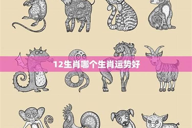 2024年最苦的生肖 龙狗24年一个比一个苦？