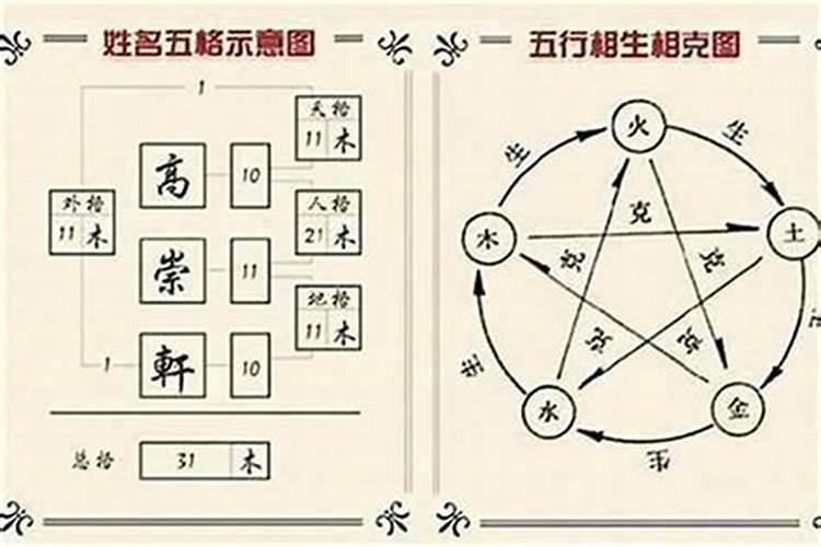 梦见满地的蚯蚓和蛇的预兆