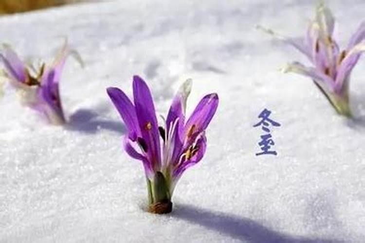 冬至上坟是什么时候