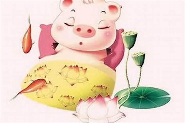 属猪人2024年感情与婚姻如何 属猪人如何推动感情的发展