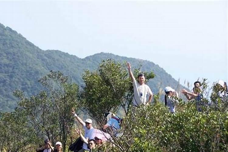 重阳节到了,很多人都去登高了,在广西哪座山最高,我要去挑战。