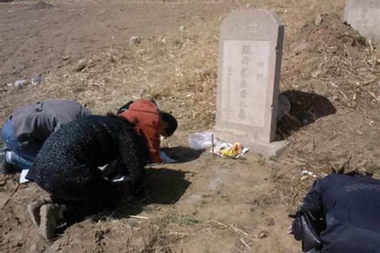 兔子和狗属相合不合 87兔和94狗都是火吗？