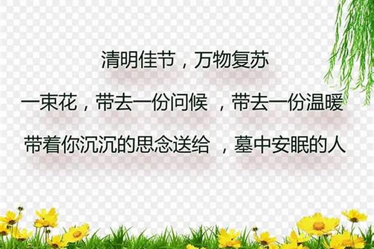 新坟第一年清明节怎么祭拜