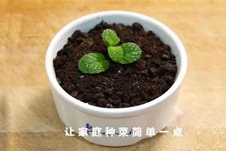 怎么对付故意挑事的人？