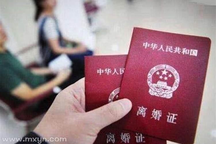 1994年农历11月8日,上午10点出生的人五行缺什么？