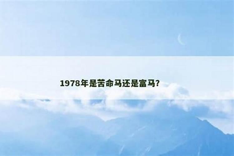 八字五行木旺代表什么