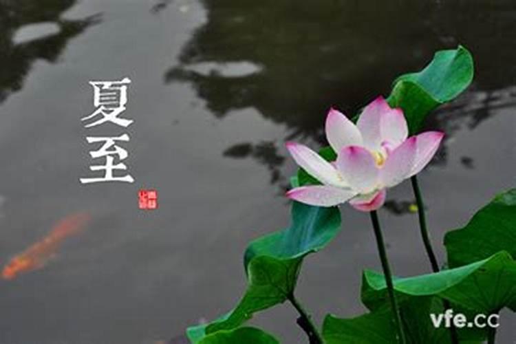 中元节晚上可以对月亮起 愿望吗？