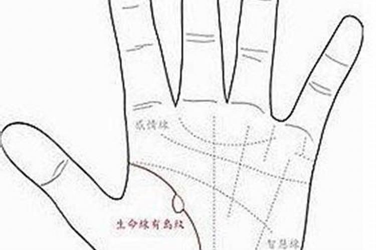 请问手相怎么看？那条是生命线、事业线、爱情线？