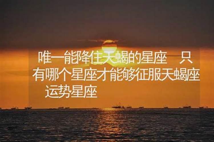 正月十五看花灯的地方是哪里