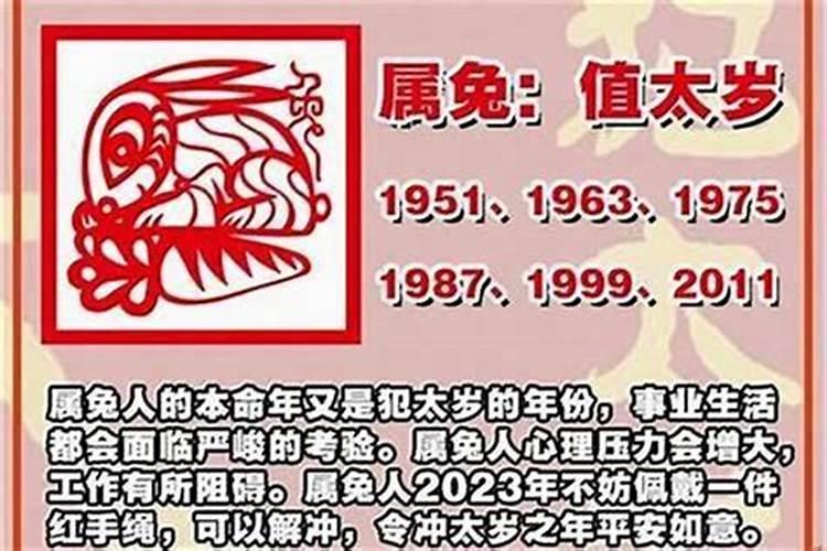 属狗人2024年适合换工作吗 属狗人今年事业运势