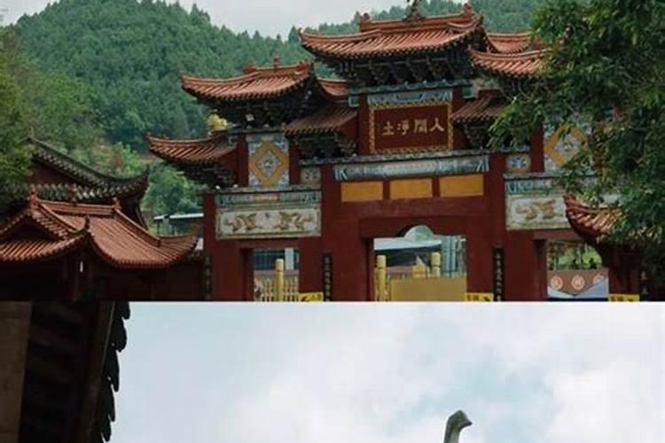 东营子村属于哪个市