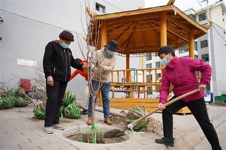我命犯天煞孤星,无伴终老,孤独一生