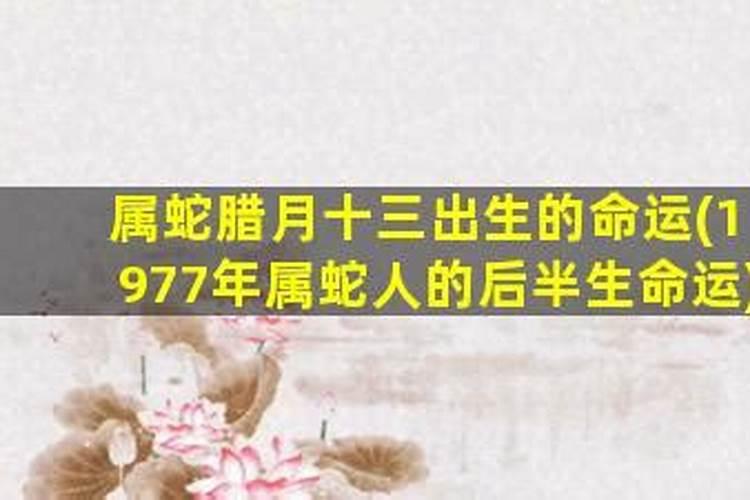 77年属蛇腊月十三生人幸运色
