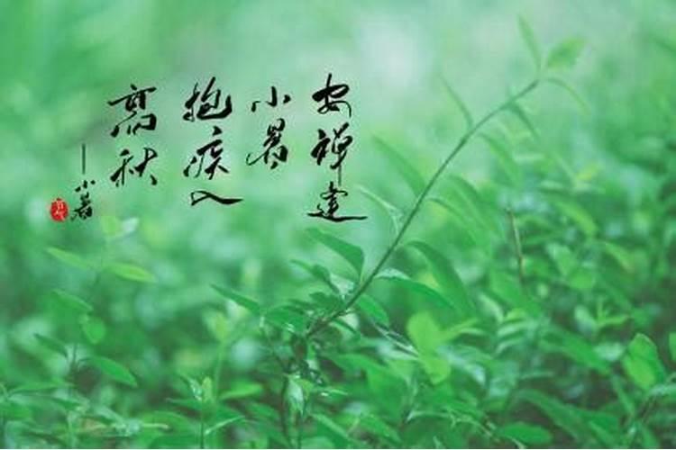 属马的几月出生最好 属马人几月出生命最好