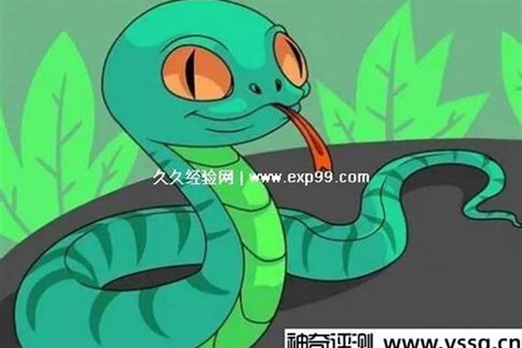 梦见蛇身龙头是什么意思？
