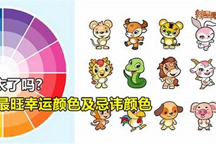 1994年属狗2025年运势如何