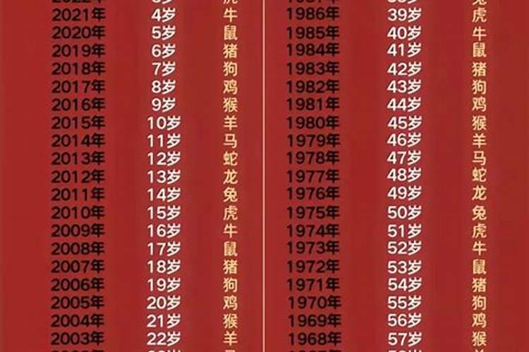 1996年属鼠2025运势及运程详解