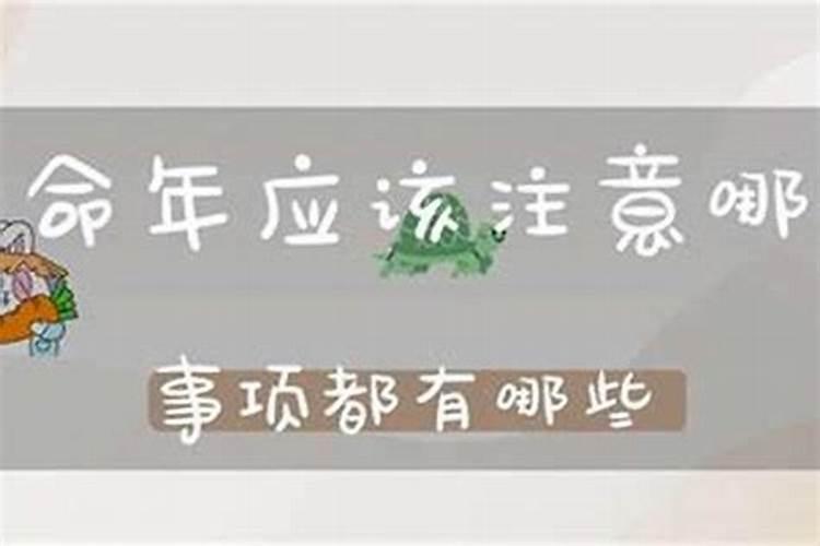 属猴2025年犯太岁吗