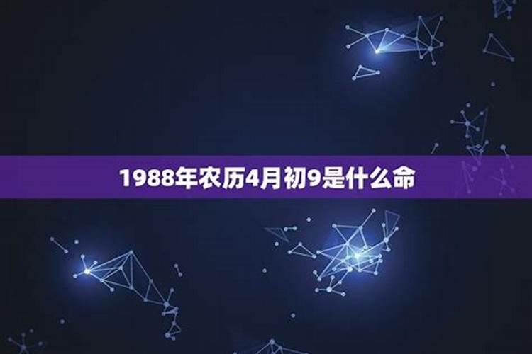 1988年农历11月11日(阳历12月19日)早上五点多出生的人 命运怎么样？求...