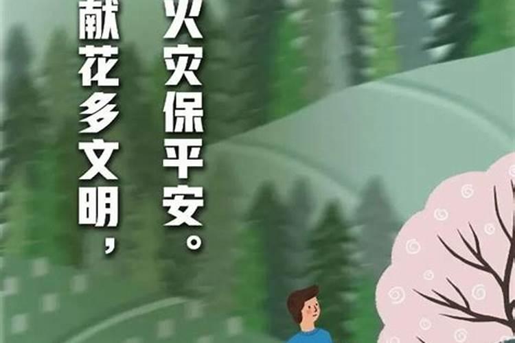 2010年民政部如何保障清明节祭扫活动的安全与文明？