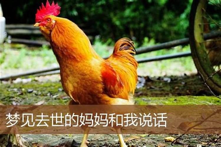 梦见手机屏幕碎了但是还能用