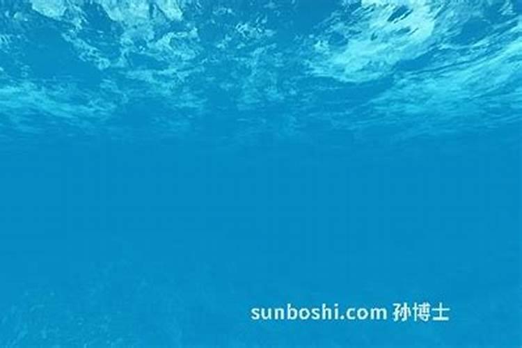 梦见大海和鱼