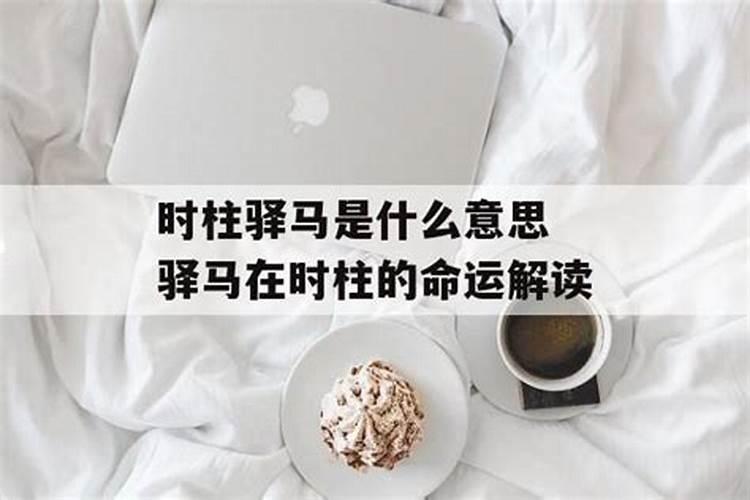 1997年牛最佳配偶属相