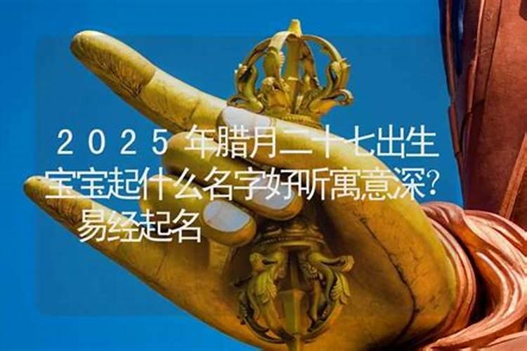 六四年农历腊月二十七生属什么？