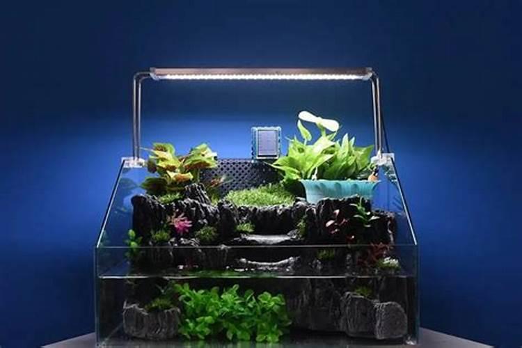 怎样用八卦图算命