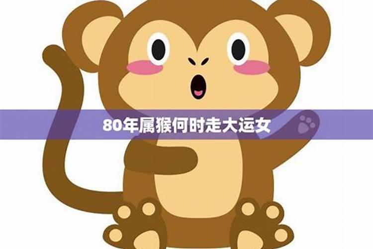 80年猴2024年会转运吗