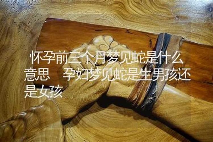 男人梦见蛇的七大预兆周公解梦