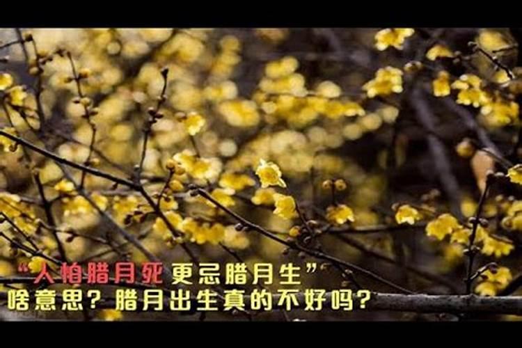 腊月出生和腊月死的人为什么不好？
