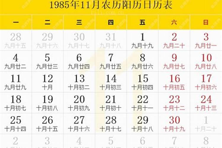 1985年农历11月13日生,该命相如何？
