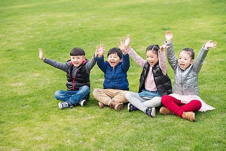 鸡人2025年每月运势及运程详解