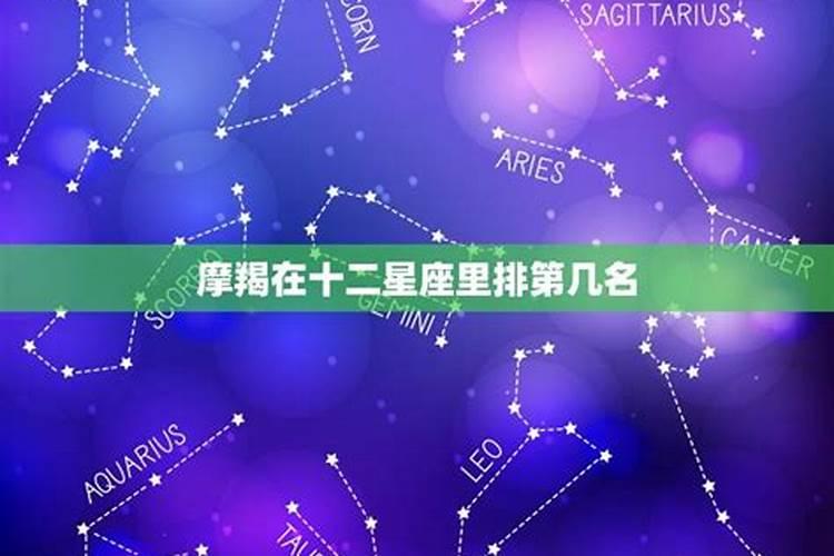 十二星座真正智商排名