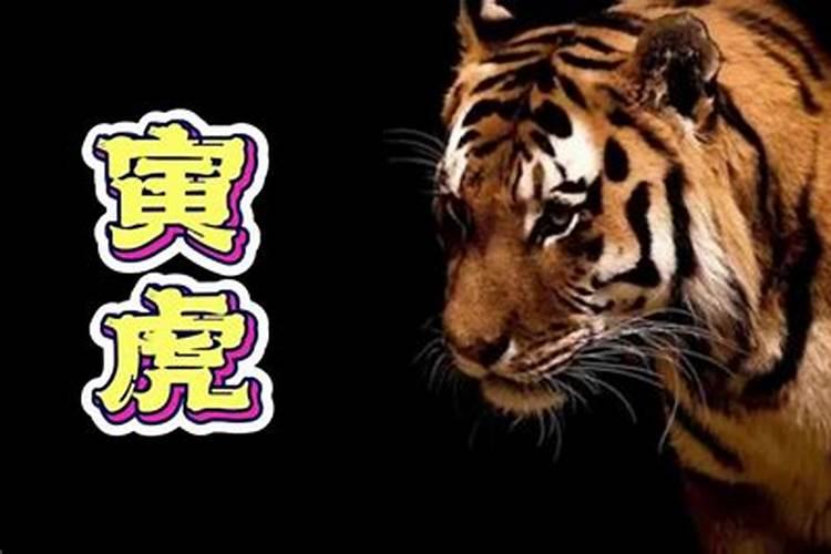 寅是什么意思？