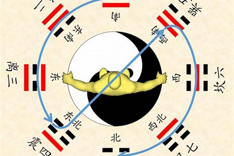 寅代表什么行业