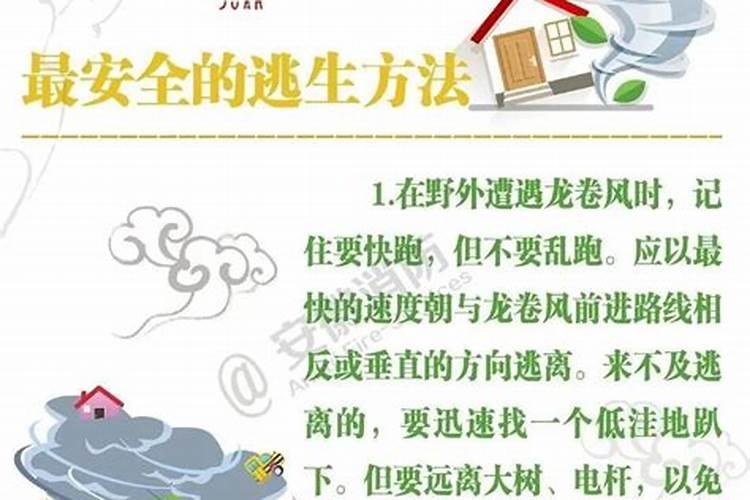 农历正月初二出生的人命运如何