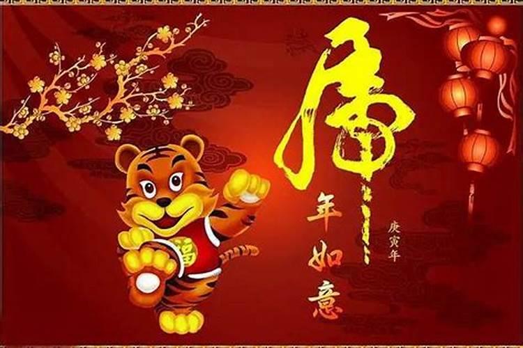 生肖虎2024年运势及运程详解