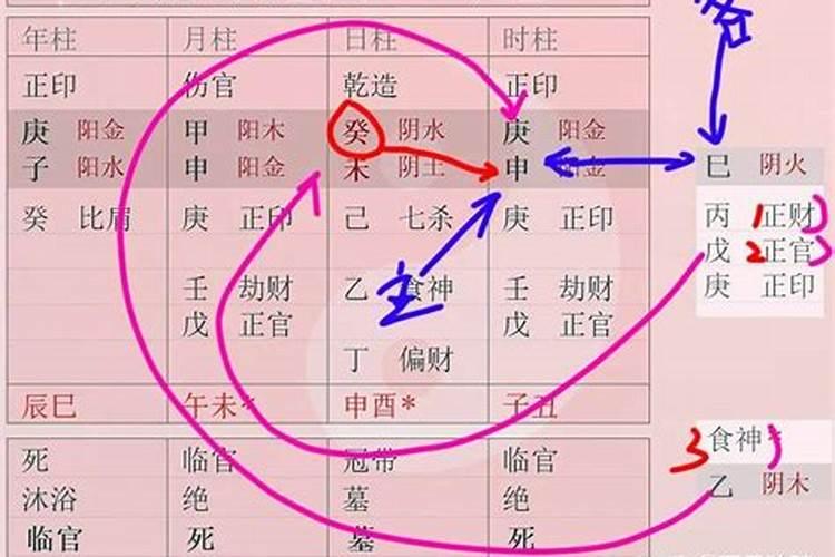 请帮忙解释八字中的术语