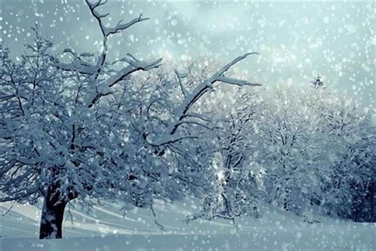 梦见下大雪真的是家中有丧事的预兆吗？