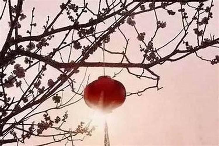 属猪1995年8月26生日命运