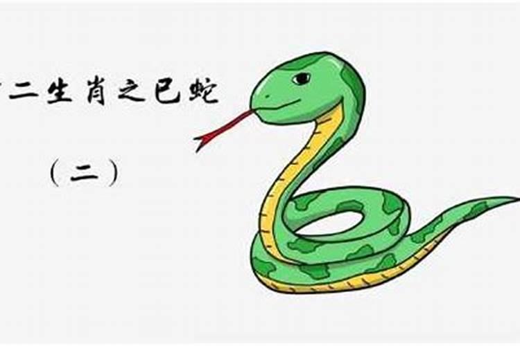 女人梦见自己亲手打死蛇
