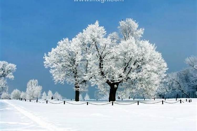 梦见我看到很美的雪景的预兆
