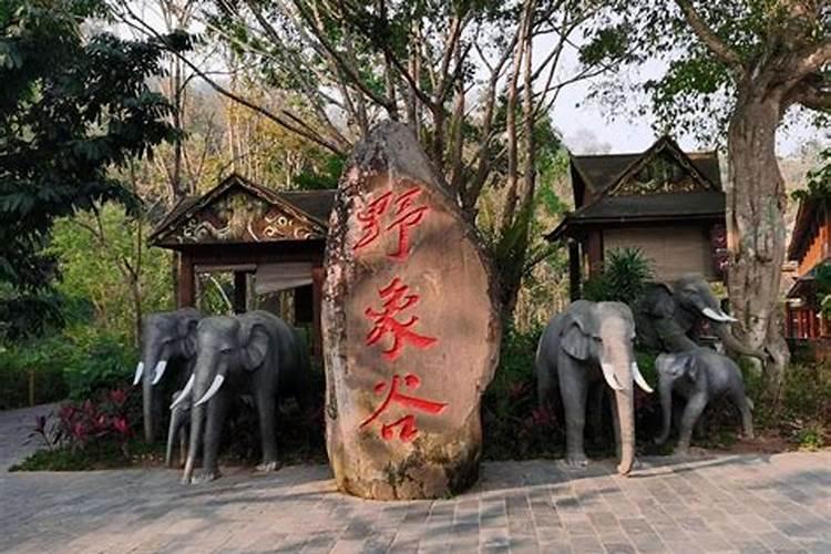 不要生辰八字算命准吗,八字算命到底能不能信